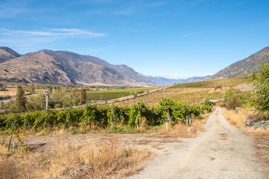 More Photos Of 1002 British Columbia 3, Cawston Winery Vineyard For Sale