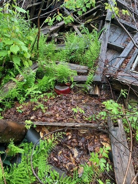 More Photos Of Wellington, Wellington Land For Lease