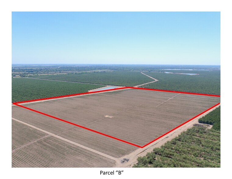 More Photos Of 2155 Center Road, Vernalis Land For Sale