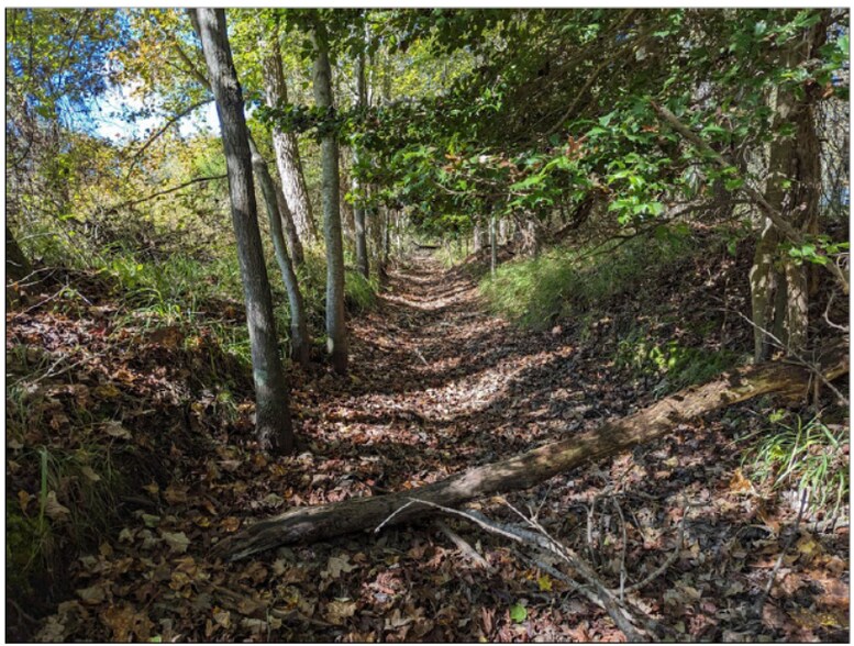 More Photos Of 0 Old Eden Rd, Eden Land For Sale