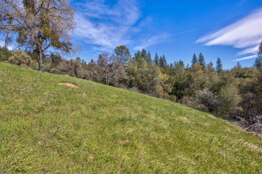 More Photos Of 18800 Charleston Rd, Volcano Land For Sale