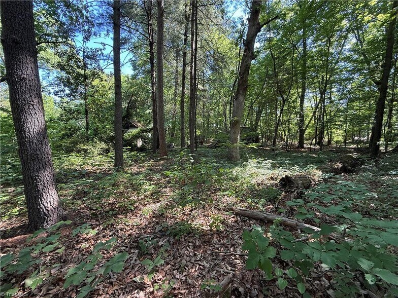 More Photos Of 607 Kirby Rd, King Land For Sale