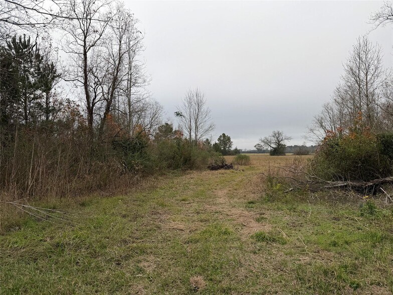 More Photos Of 8007 FM 1960, Dayton Land For Sale
