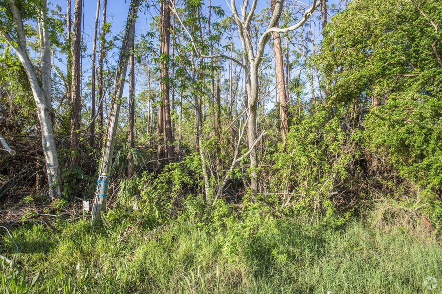 More Photos Of Tamiami Trl E, Naples Land For Sale