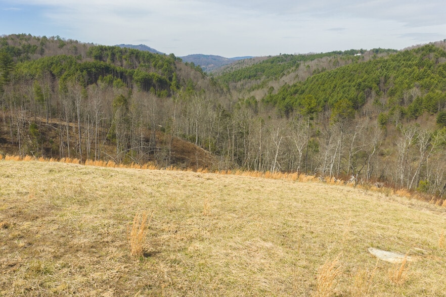 More Photos Of TBD Carsonville Road, Independence Land For Sale