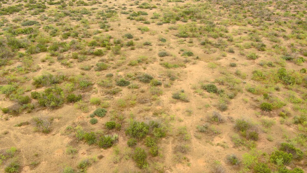 More Photos Of 0100 Cactus Rose Ln, Ozona Land For Sale