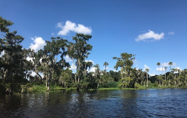 More Photos Of 2738 Botts Landing Rd, Deland Land For Sale