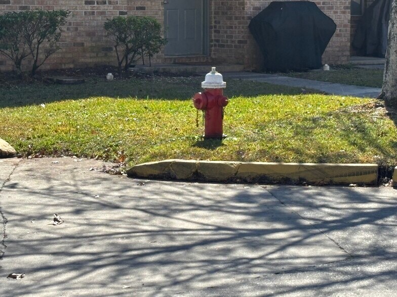More Photos Of 1000 Cooks Lane, Green Cove Springs Land For Sale