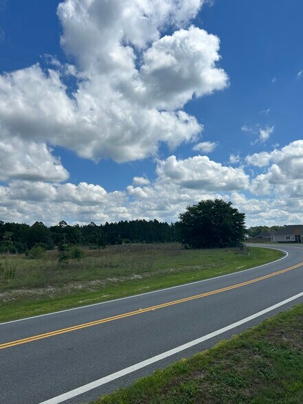 Primary Photo Of Cajer Posey Rd, Crawfordville Land For Sale