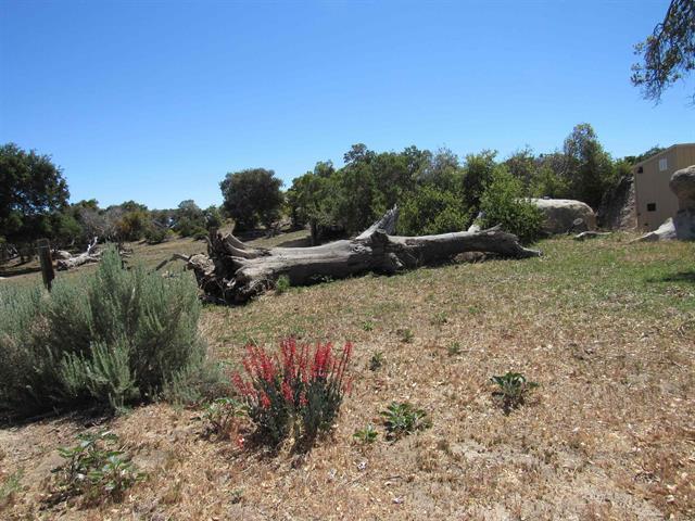 More Photos Of McCain Valley R McCain Valley rd, Boulevard Land For Sale