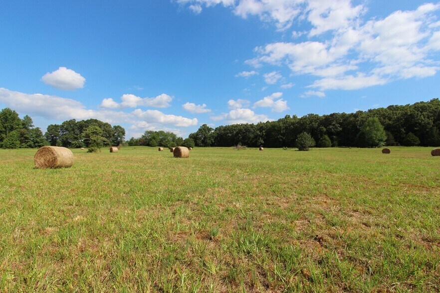 More Photos Of 278 Highway 64 E, Conway Land For Sale