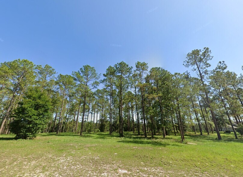 Primary Photo Of 24135 Greenwood Xing, Eustis Land For Sale