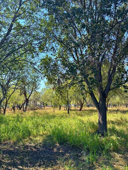 More Photos Of 215 E College St, Pleasanton Land For Sale