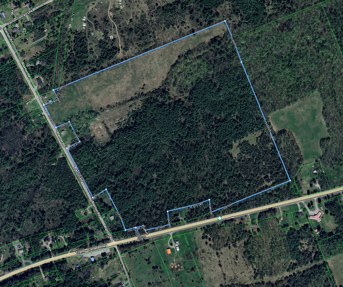 Primary Photo Of 87 Blairton Rd, Havelock Land For Sale