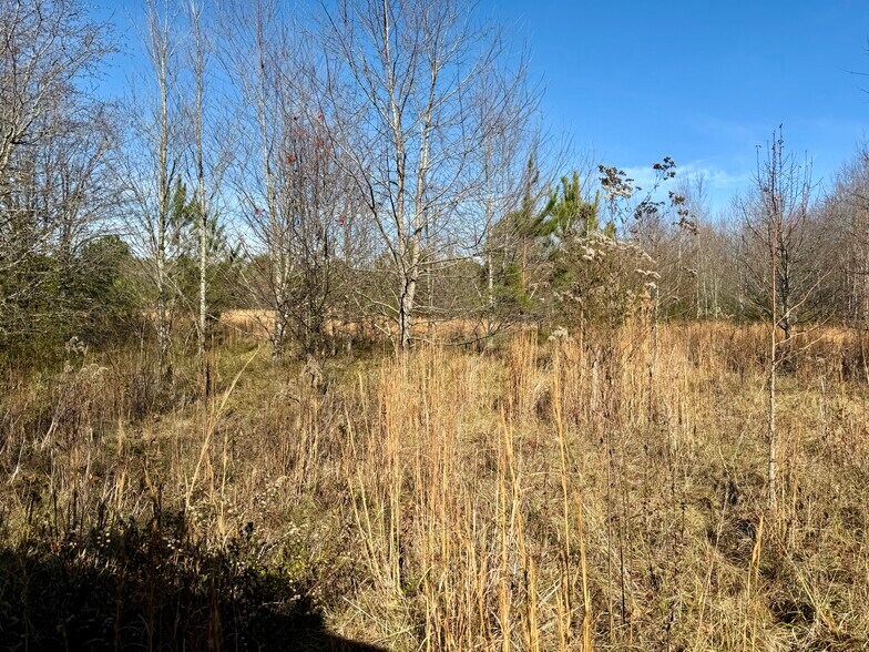 More Photos Of HWY 78 EAST, Oxford Land For Sale