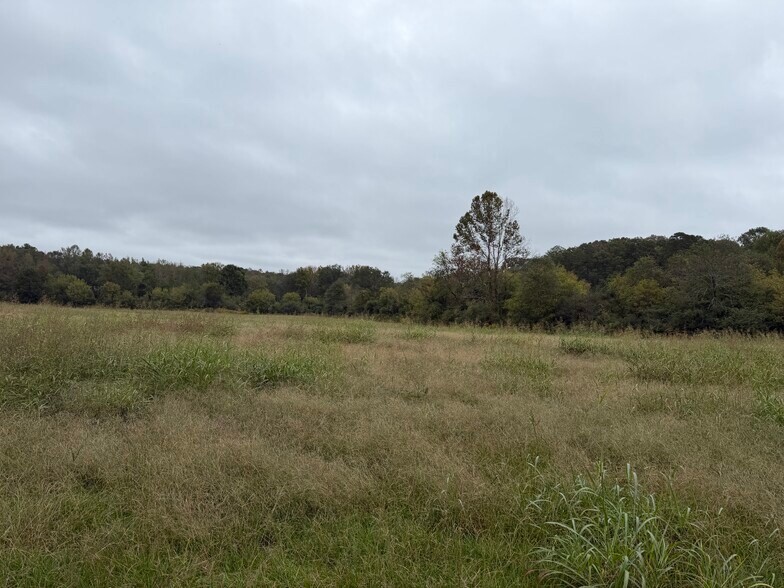 More Photos Of 0 County Road 60, Heflin Land For Sale