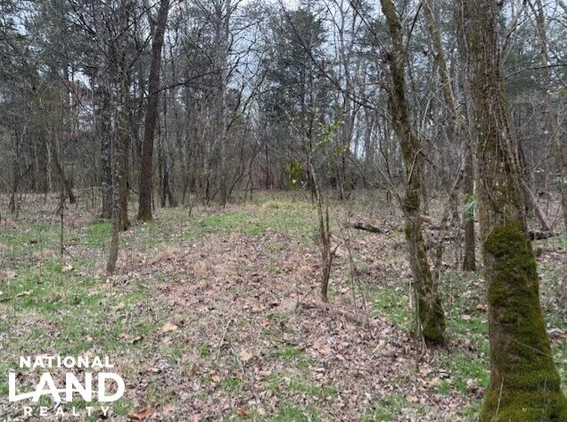 More Photos Of 1351A Old Water Works Rd SW, Fort Payne Land For Sale
