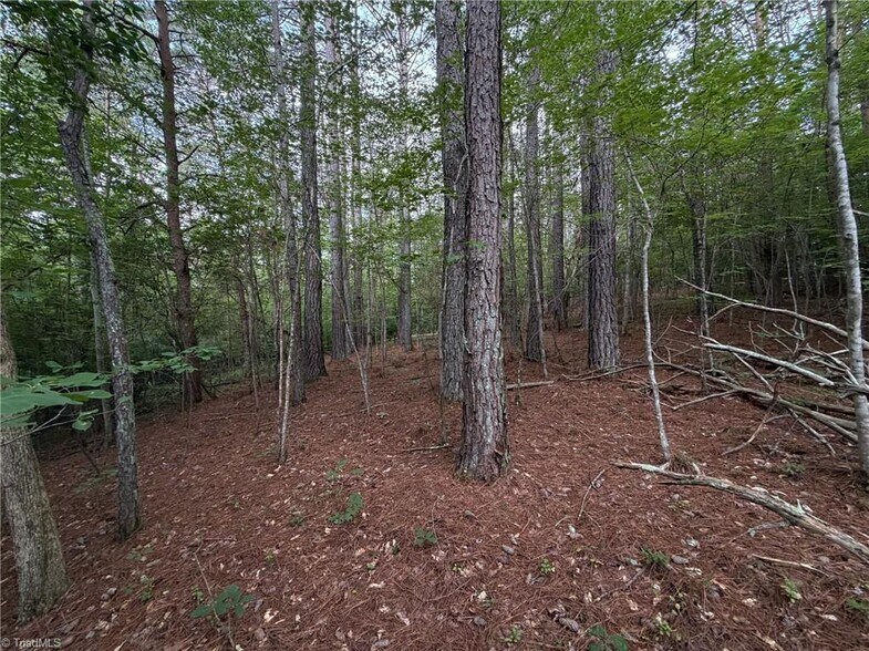 More Photos Of 1215 Lucius Beasley Rd, Westfield Land For Sale