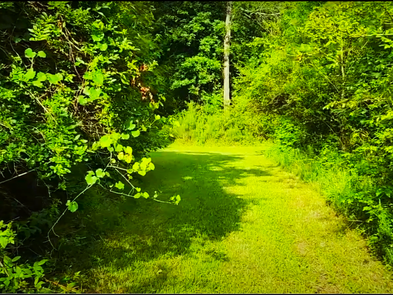 More Photos Of 2725 White Rd NE, Conyers Land For Sale