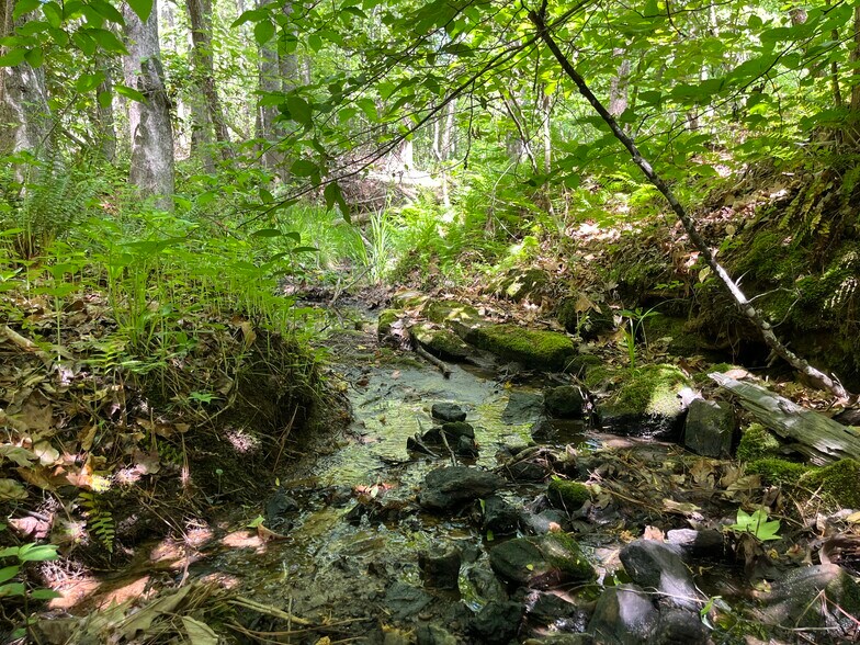 More Photos Of 00 00 Youngstown Rd, Goochland Land For Sale