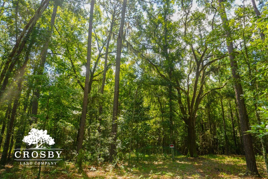 More Photos Of 3009 Lowcountry Drive, Ridgeland Land For Sale