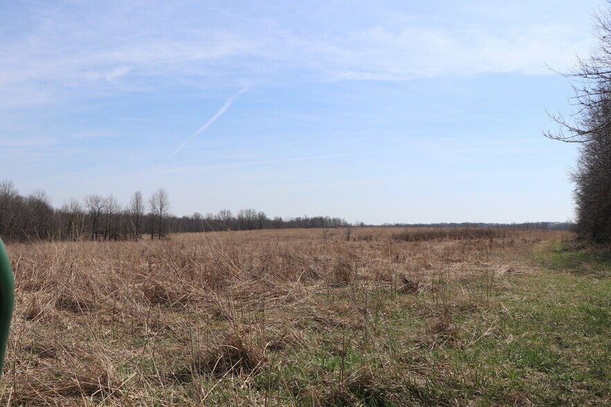 More Photos Of SW Corner Missouri 139 Highway & County Road 150, Hale Land For Sale
