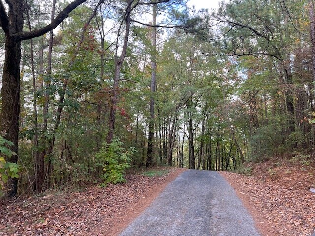 More Photos Of 100 Valley View Farm Rd SW, Cartersville Land For Sale