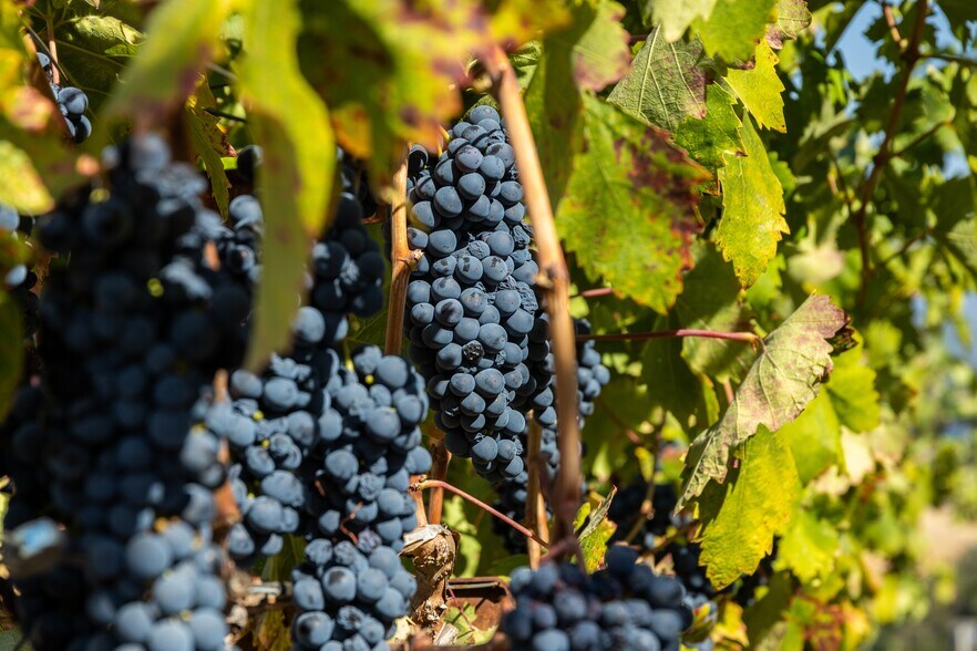 More Photos Of 13700 Rockpile Rd, Geyserville Land For Sale