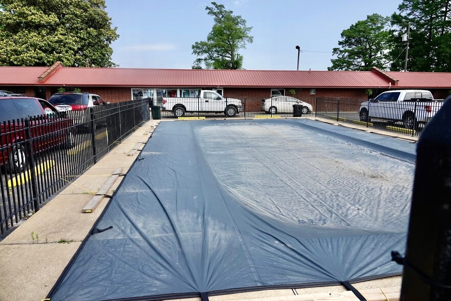 More Photos Of , Hornbeak Unknown For Sale