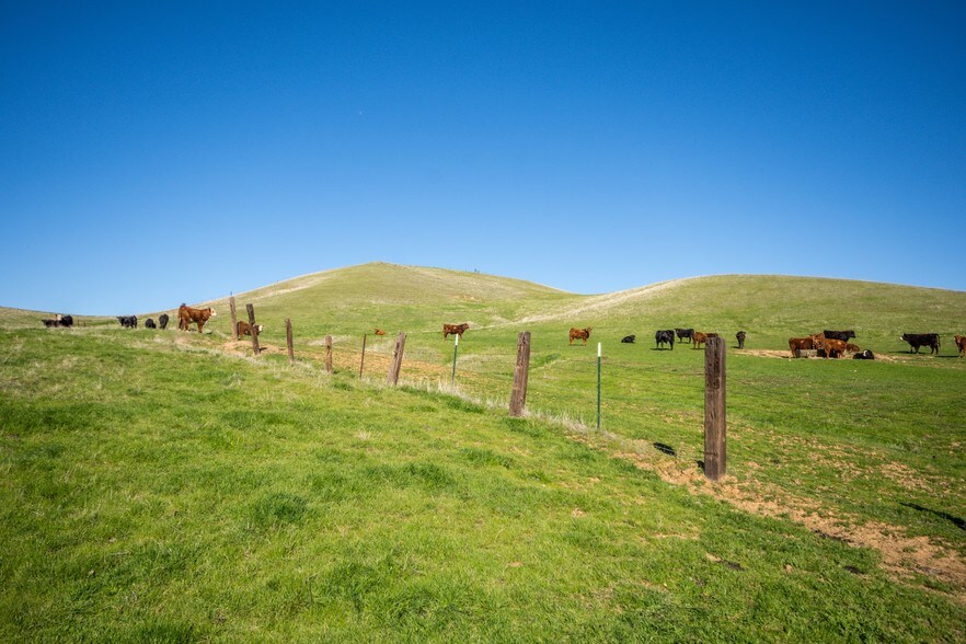 More Photos Of McAuliffe Rd, Igo Land For Sale