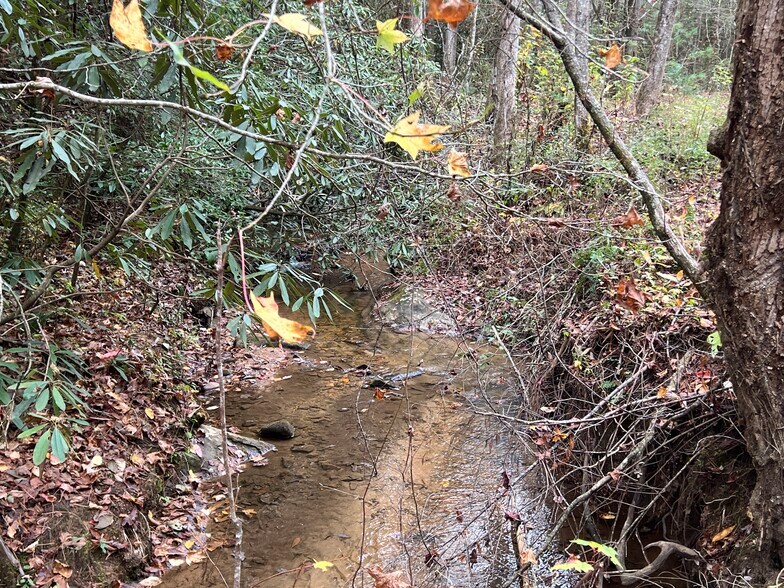 More Photos Of Whitecliff Drive, Ellijay Land For Sale