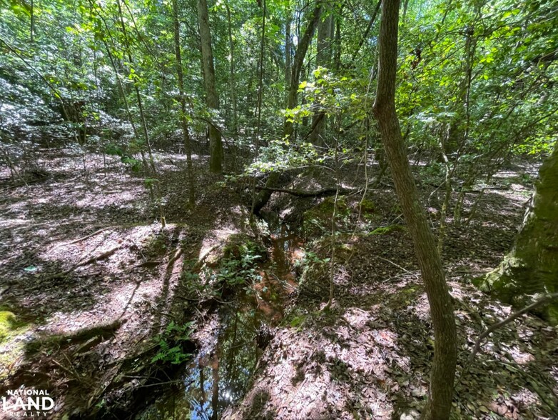 More Photos Of 0 Gibbs Road, Wellford Land For Sale