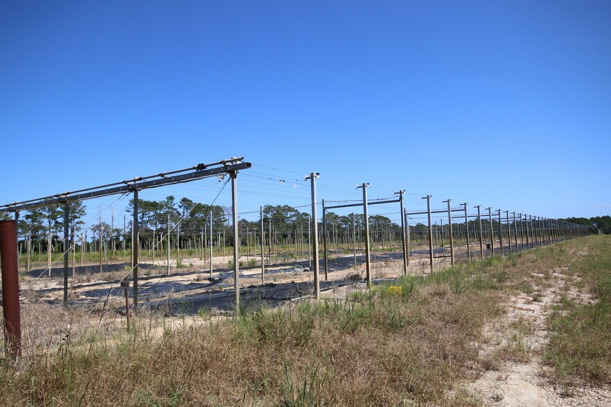 More Photos Of 1741 Ga Highway 112 N, Cairo Land For Sale