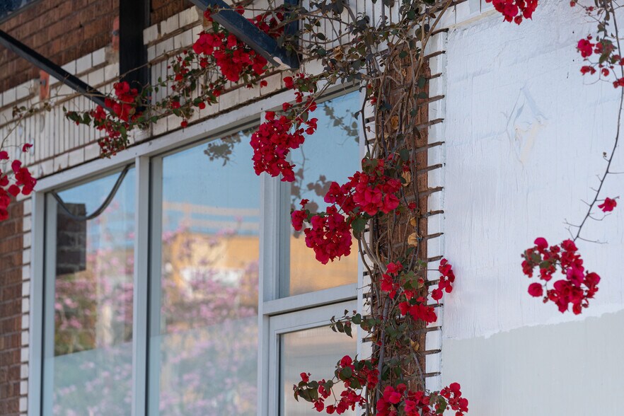 More Photos Of 1906-1912 Cimarron St, Los Angeles Apartments For Lease