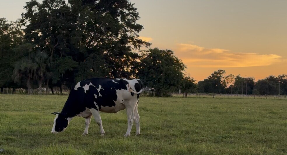 More Photos Of 15871 N River Rd, Alva Land For Sale