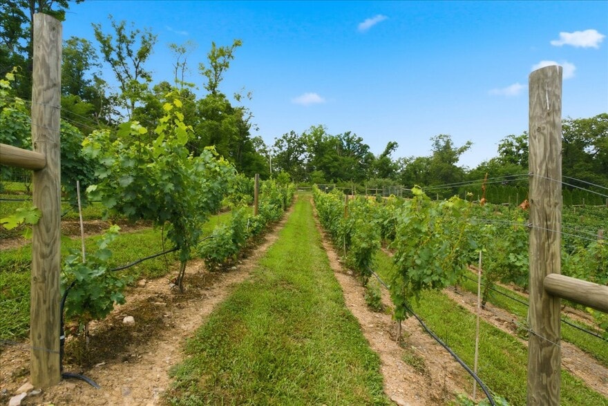 More Photos Of 1309 Redland Rd, Cross Junction Winery Vineyard For Sale