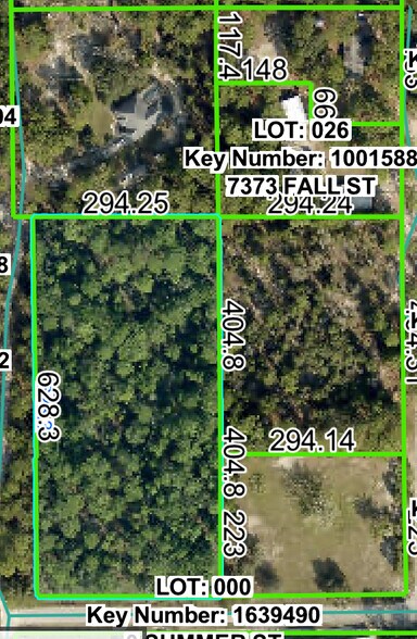 More Photos Of Horn Ave @ Summer St., Brooksville Land For Sale