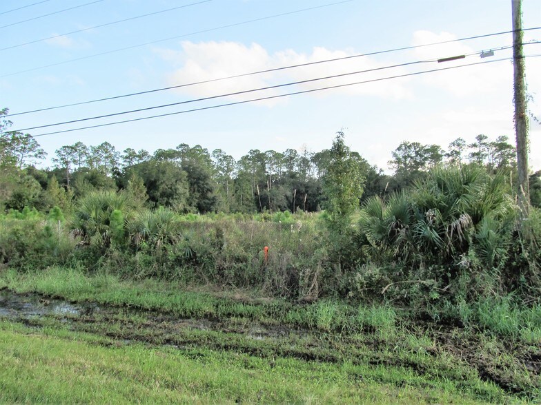 More Photos Of 24502 E Colonial Dr, Christmas Land For Sale