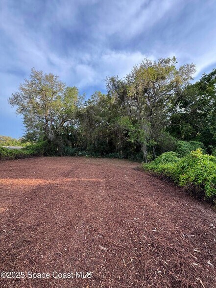 More Photos Of State Road 46 & I-95, Mims Land For Sale