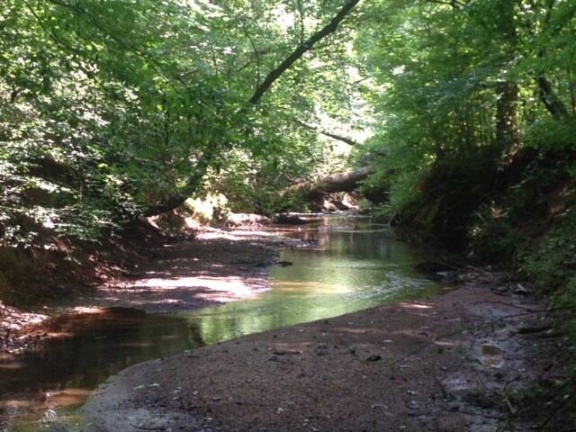 More Photos Of Alfred Ln, Newborn Land For Sale