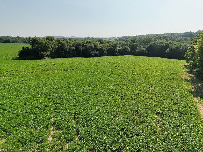 More Photos Of Walnut Hill Ln. (36.31+/- Acres), Elsberry Land For Sale