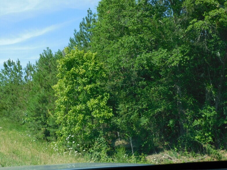 More Photos Of 00 US- 31, Calera Land For Sale