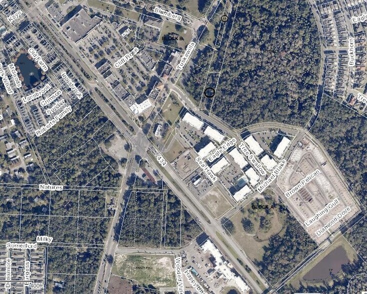 More Photos Of 79 Michael Blake Blvd, Winter Springs General Retail For Lease