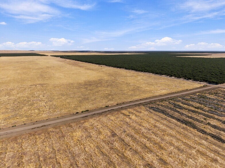 More Photos Of 12678 CA-33 hwy, Lost Hills Land For Sale