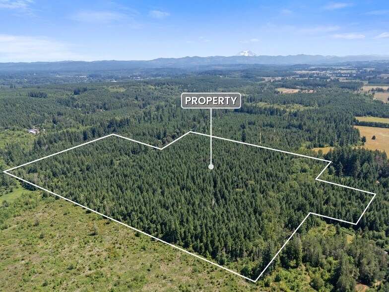 More Photos Of 0 Kiser Rd, Ethel Land For Sale