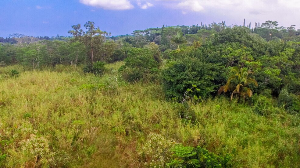 More Photos Of 15-2815 Pahoa Village, Pahoa Land For Sale