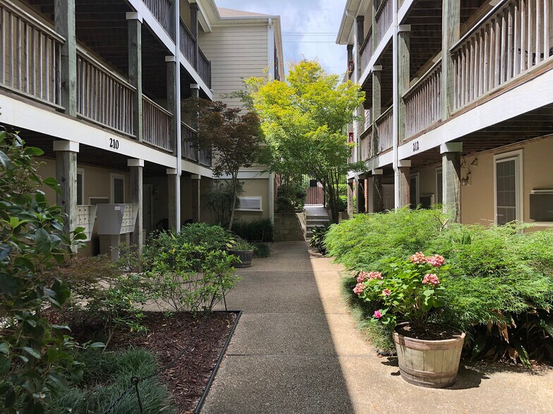 More Photos Of 214 Red Cross St, Wilmington Apartments For Lease