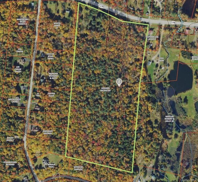 More Photos Of 1195 State Route 17B, Bethel Land For Sale