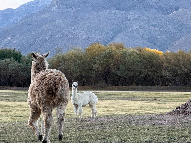 Primary Photo Of 2200 County Rd D061, Las Cruces Hotel For Sale