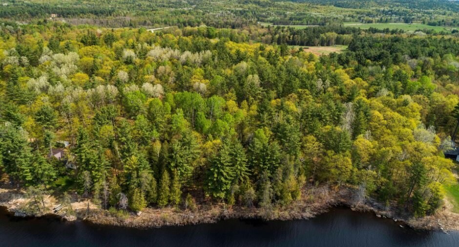 More Photos Of Ch Chemin Chenal-de-la-Culbute, Waltham Land For Sale